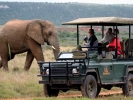 Johannesburg_Picture.jpg